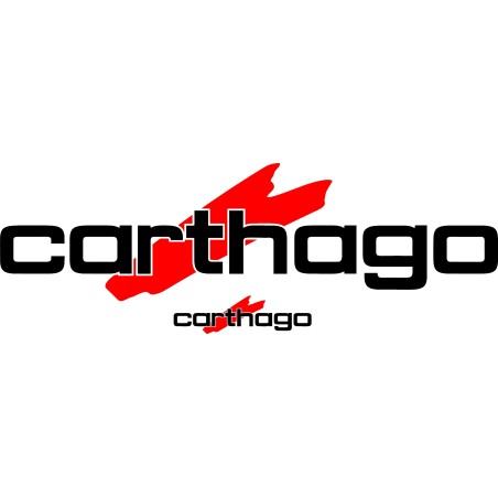 Logotipo de Cartago